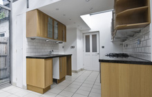 Dundonald kitchen extension leads
